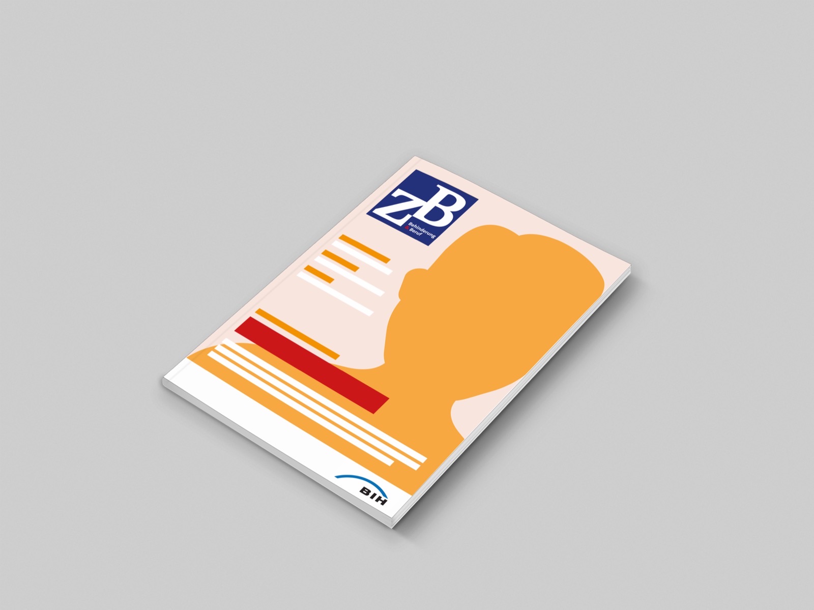 Concepts & Pitches: stilisiertes Magazincover für die BIH